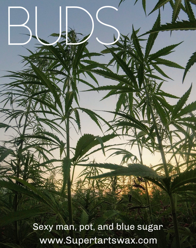 Buds