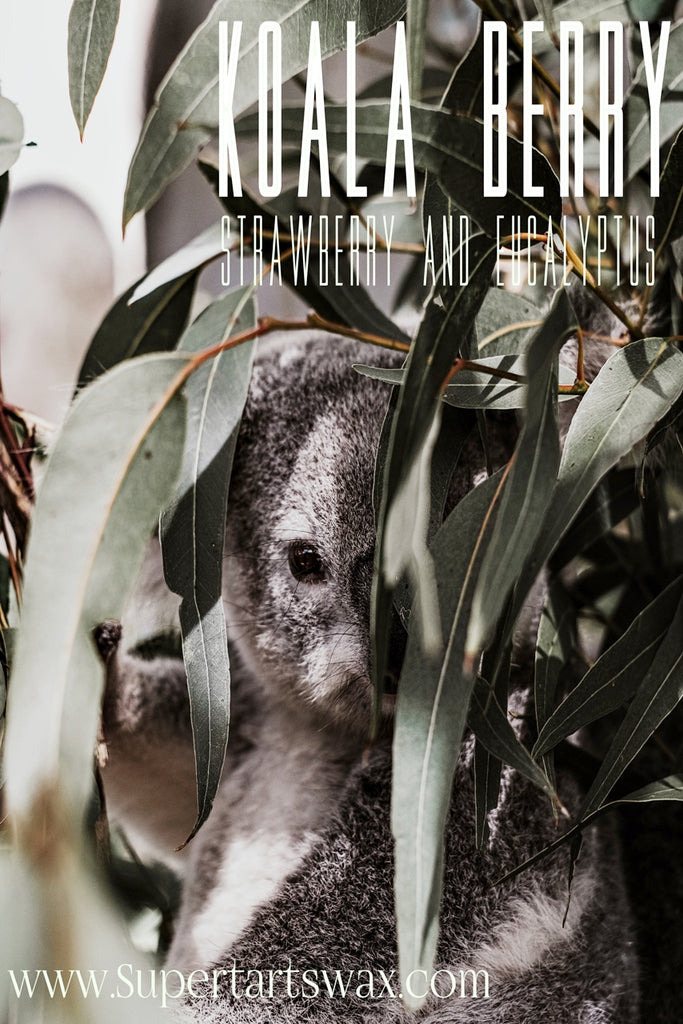 Koala-berry