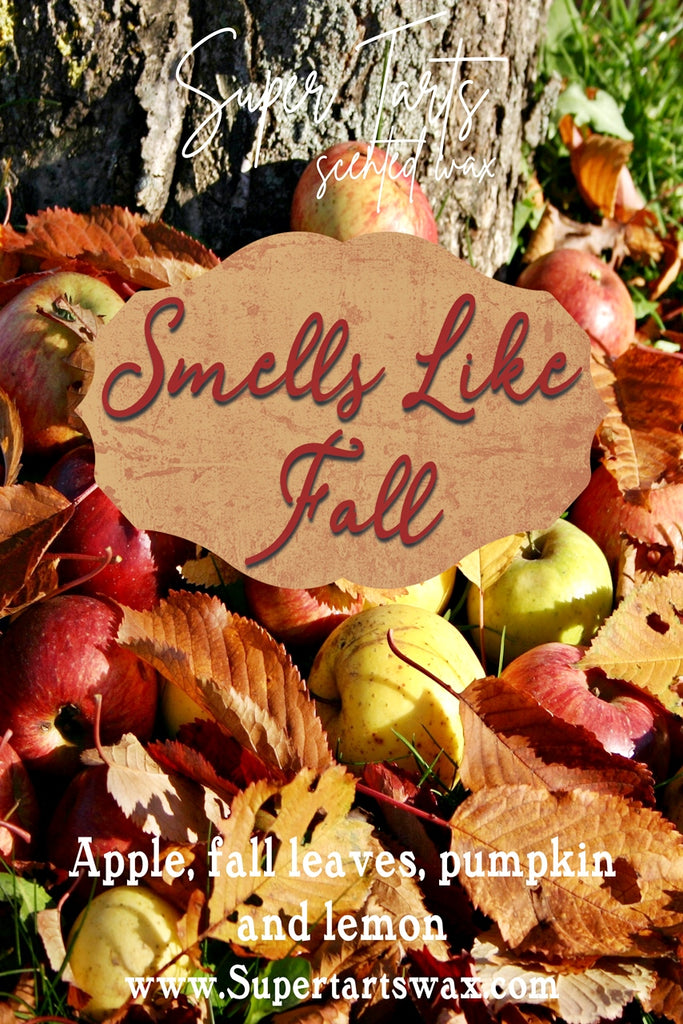 Smells like Fall