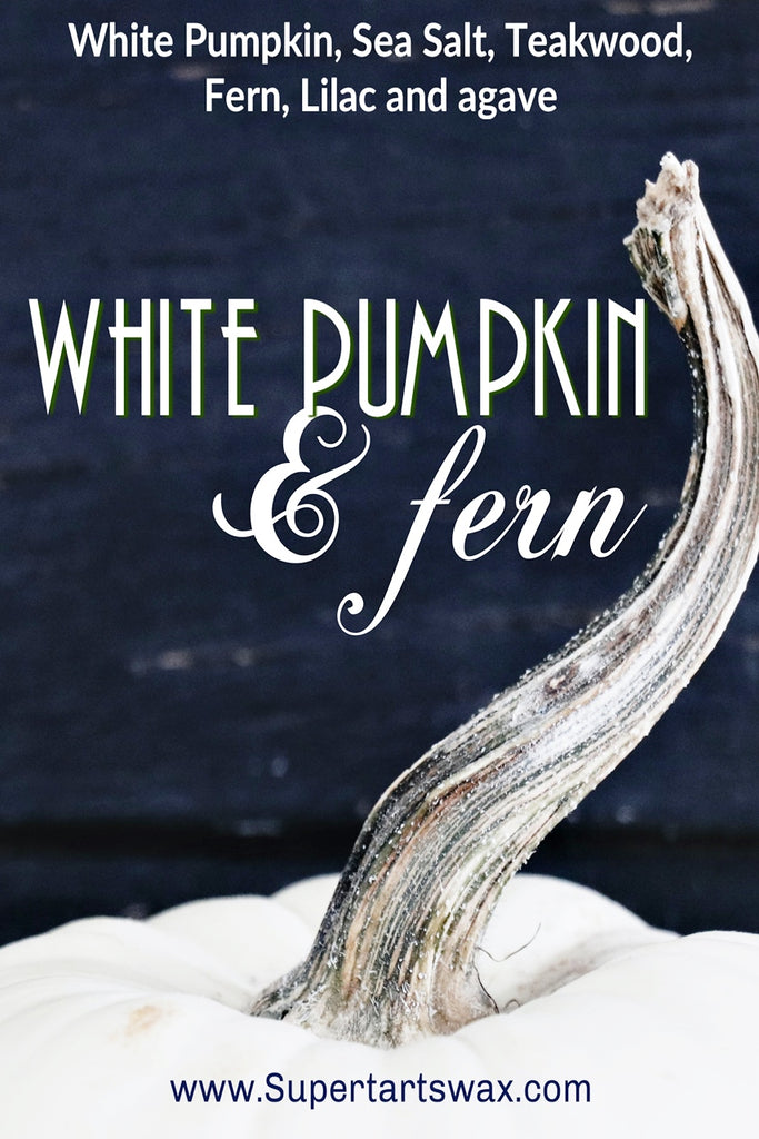 White Pumpkin & Fern